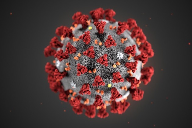 Coronavirus : le gouvernement planche sur une appli pour tracer les malades